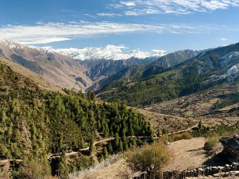 Off The Beaten Trek