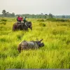 elephant in Chitwan National Park